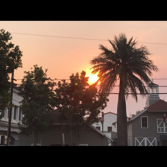 Meet your Posher, Gabrielle - Picture 1 of 1